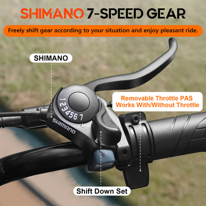 Emoko C99 20*4“ fat tyre ebike