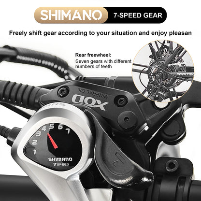 Emoko C94 20*4inch eBike with big battery for delivery  "