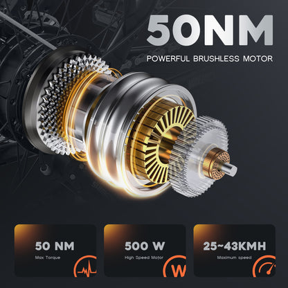 EC27 27.5 inch  delivery ebike dual battery